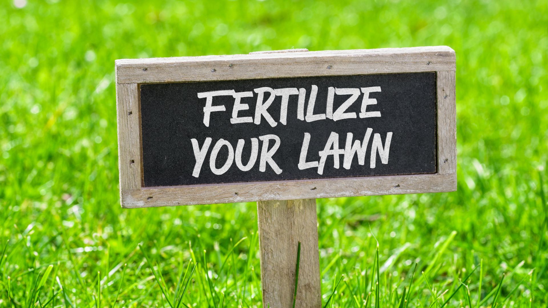 Is Liquid Or Granular Fertilizer Better For Your Lawn In Missouri ...