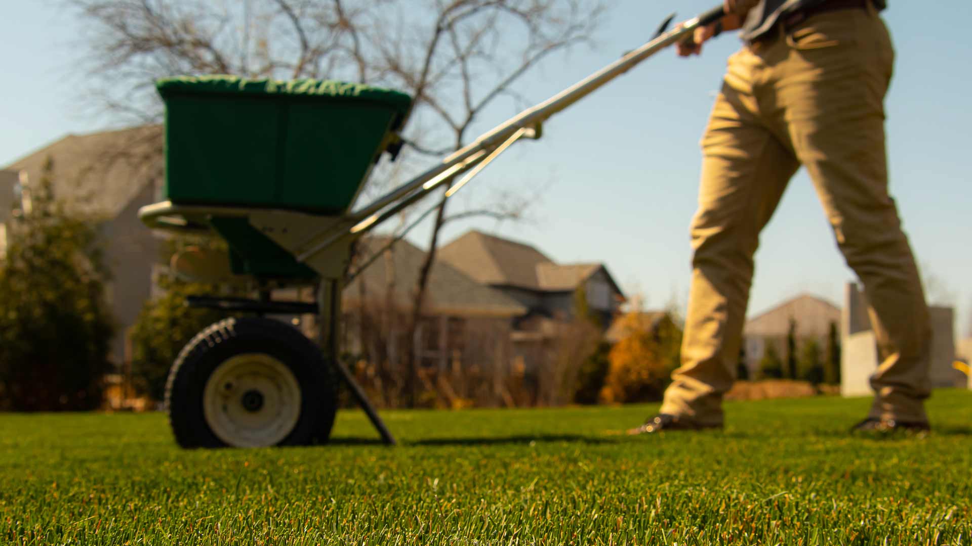 Fertilization services applied to a lawn in Olathe, KS.
