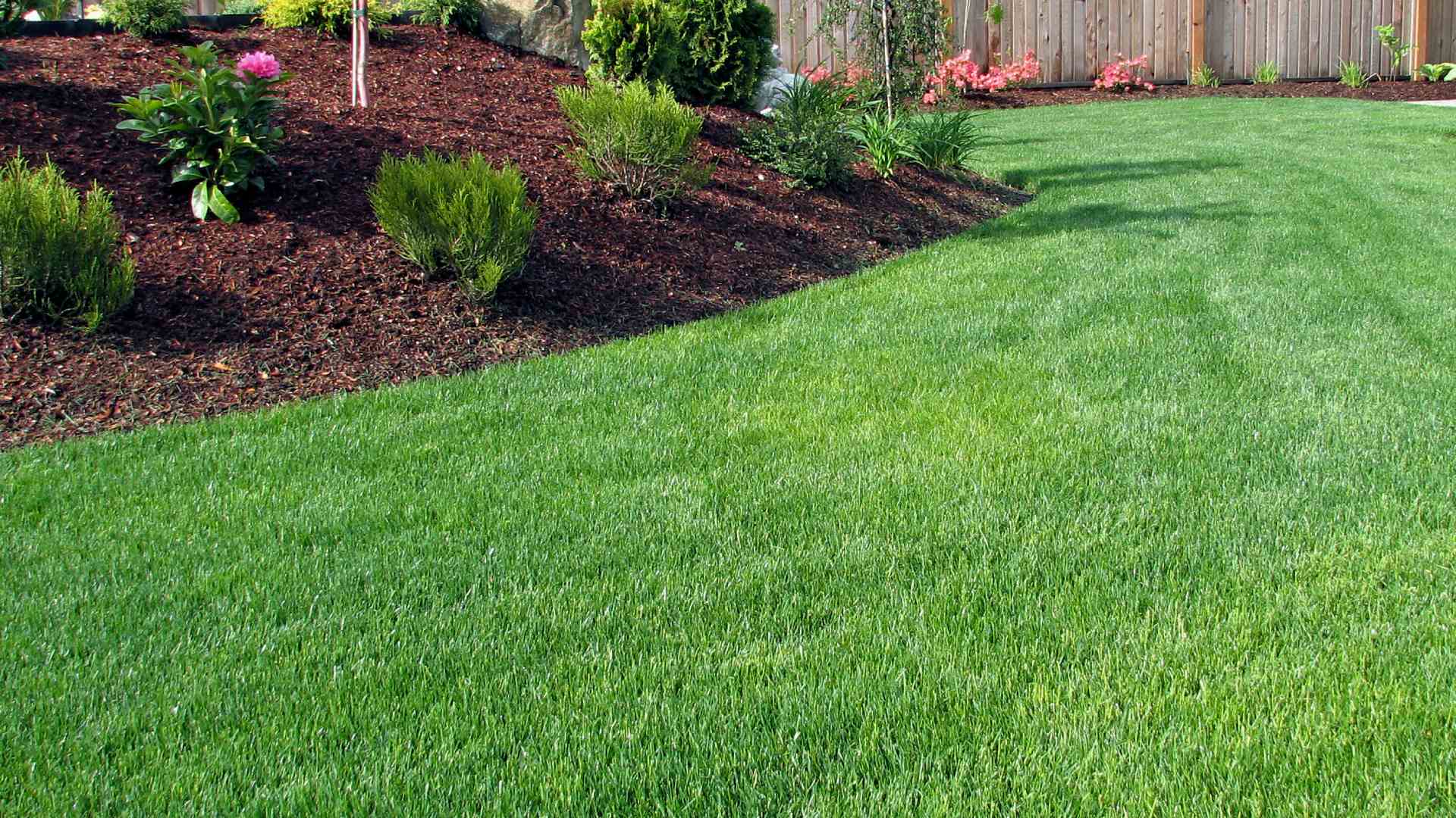 Healthy and maintained lawn in Zionsville, IN.