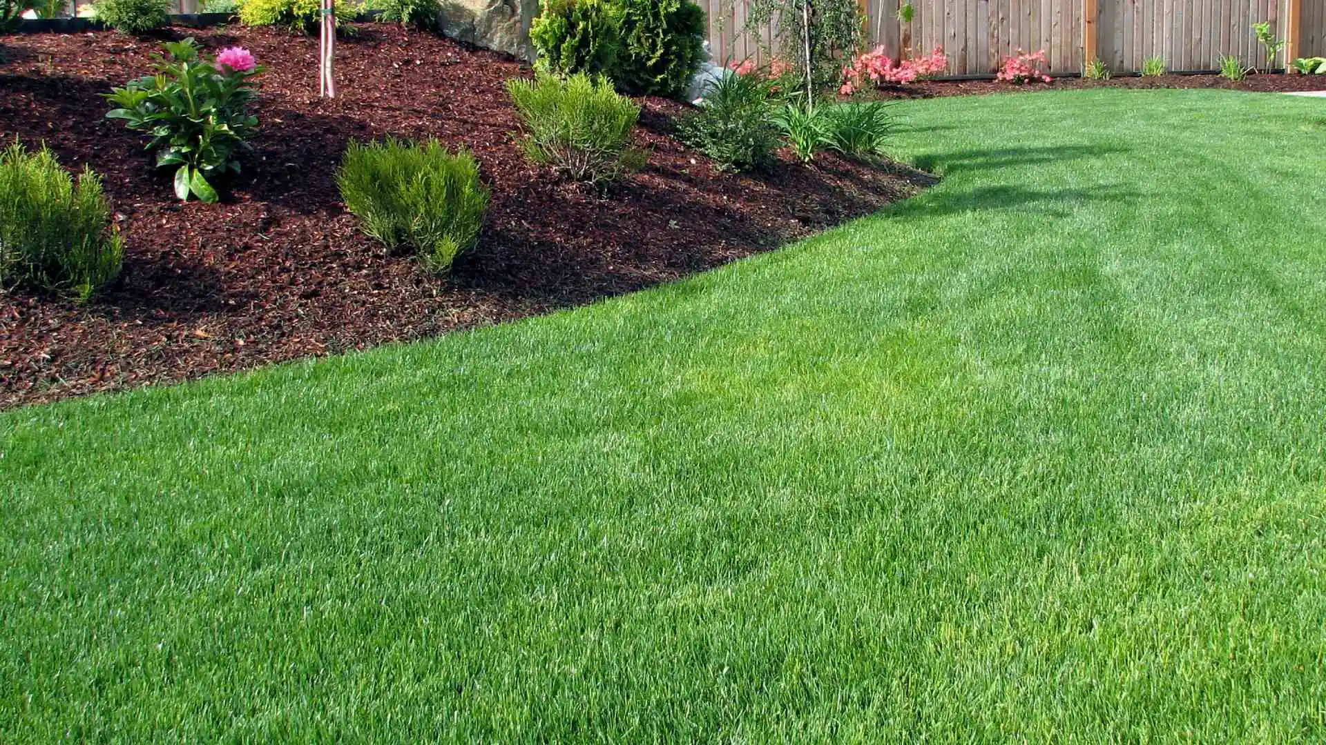 Healthy and maintained lawn and landscape bed in Raymore, MO.