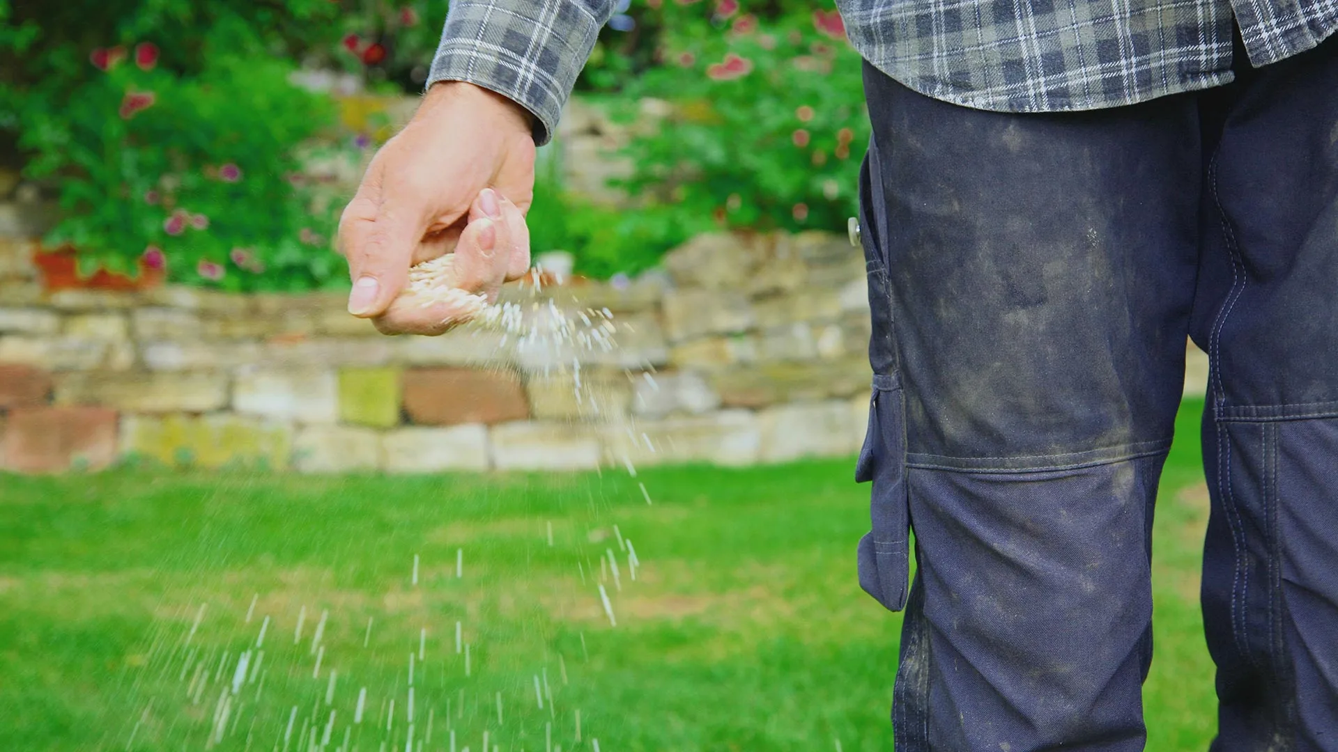 Fertilizing Your Own Lawn Is a Bad Idea - Hire Pros to Do It for You!