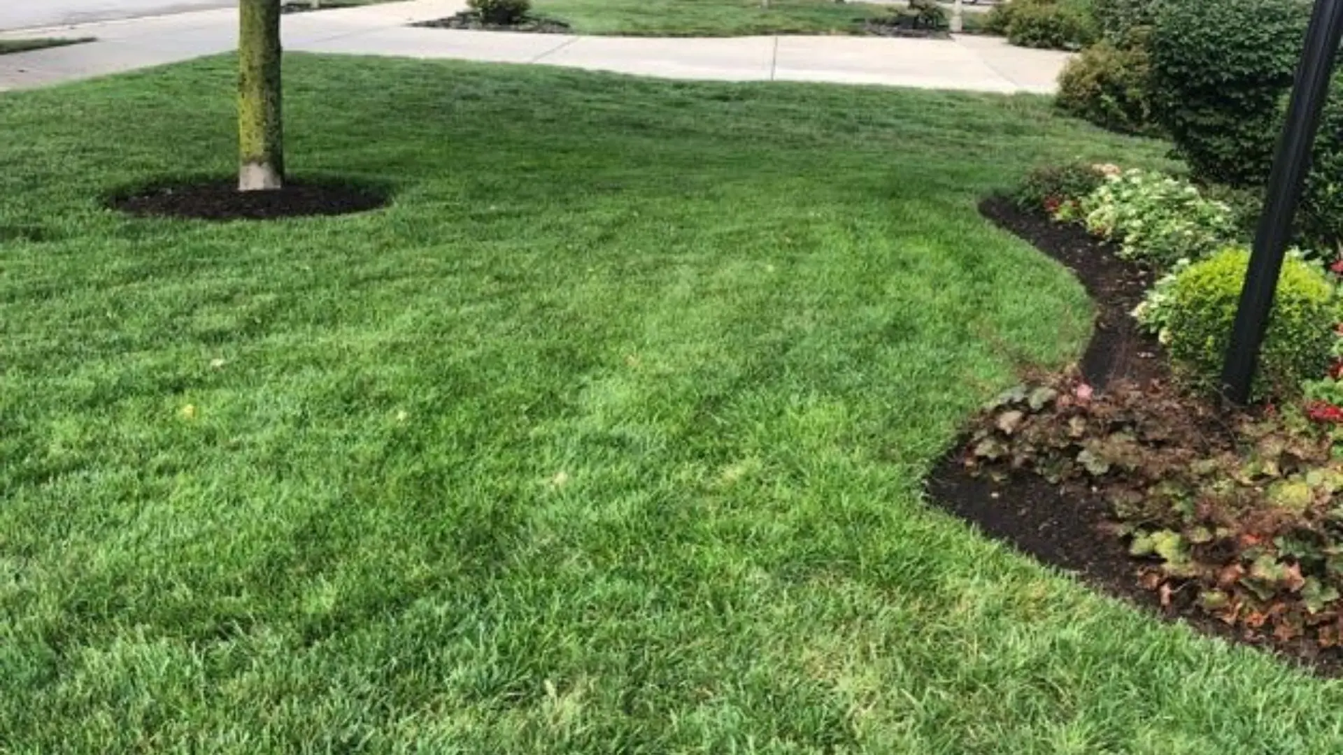 Maintained lawn by Green Again professionals in McCordsville, IN.