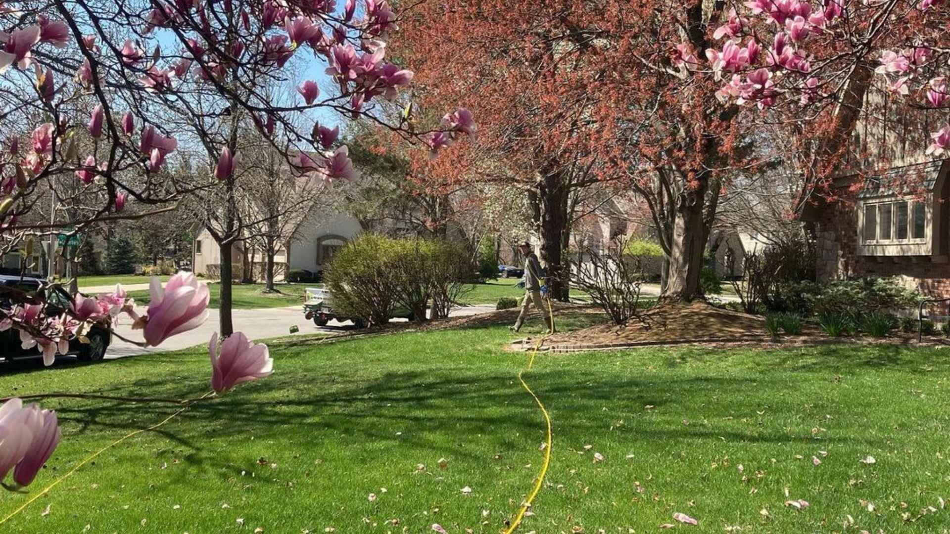 Professional performing services in lawn in Olathe, KS.