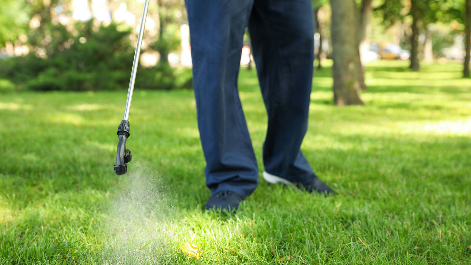 Are Chiggers Infesting Your Lawn? Here’s How to Deal With Them!