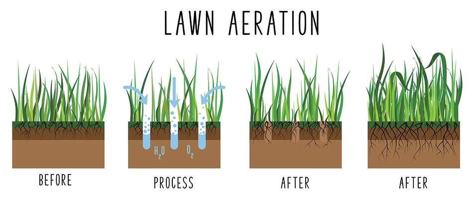 The lawn core aeration process and how it improves your lawn.