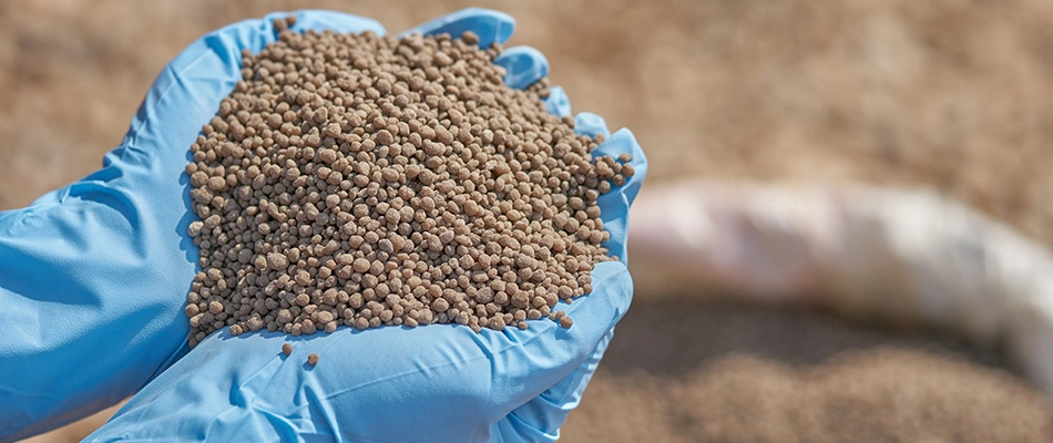 Fertilizer of the granular sort held in gloved hands near Fishers, IN.
