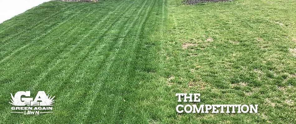 A yard with overseeding services and one without in Fishers, IN.