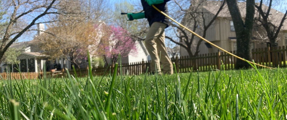 Professional from Green Again Kansas applying weed control to lawn in Kansas City, Kansas.