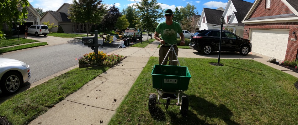 Green Again worker applying granular fertilizer to lawn by a spreader in Castleton, IN.