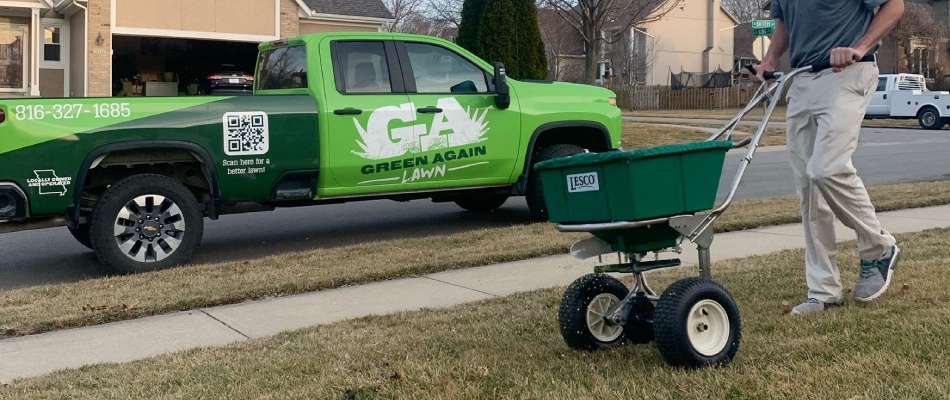 Professional from Green Again overseeding lawn with spreader in Lenexa, KS.