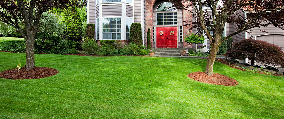 A bright green healthy lawn in front of a home with a red door in Carmel, IN.