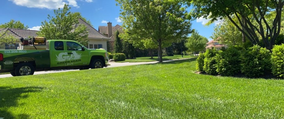 Luscious lawn after fertilization services done by Green Again in Olathe, KS.