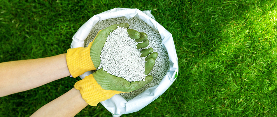 Hands holding granular fertilizer with green and yellow gloves in Overland Park, KS.