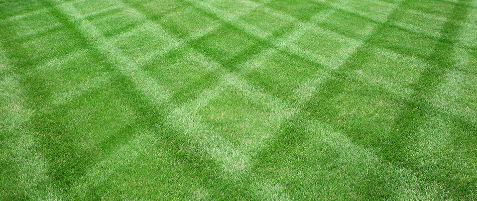 Healthy vibrant lawn fertilized and aerated in Bargersville, IN.