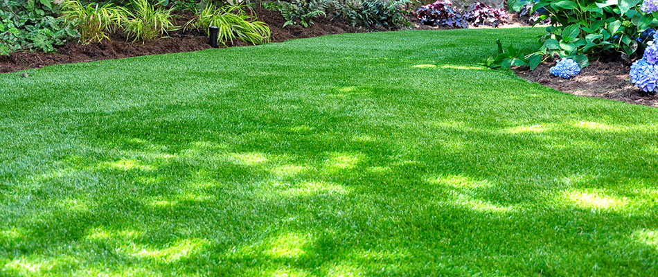 Green lawn fertilized and maintained in Hancock County, IN.