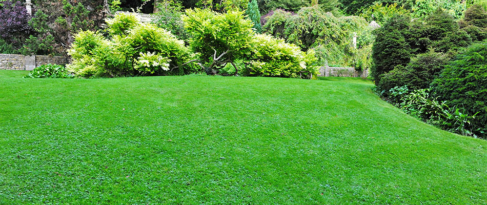 Imaculate green lawn with beautiful landscaping in Plainfield, IN.