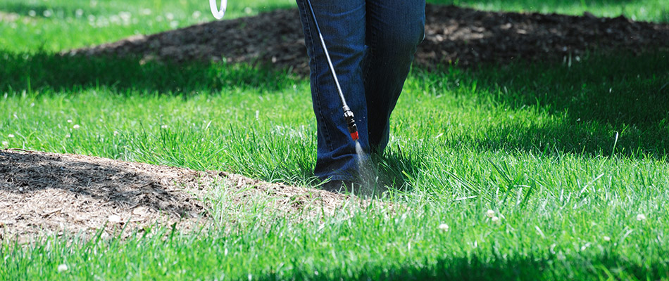 Indiana's Green Again professional applying pre-emergent weed control to lawn in Indianapolis, IN.