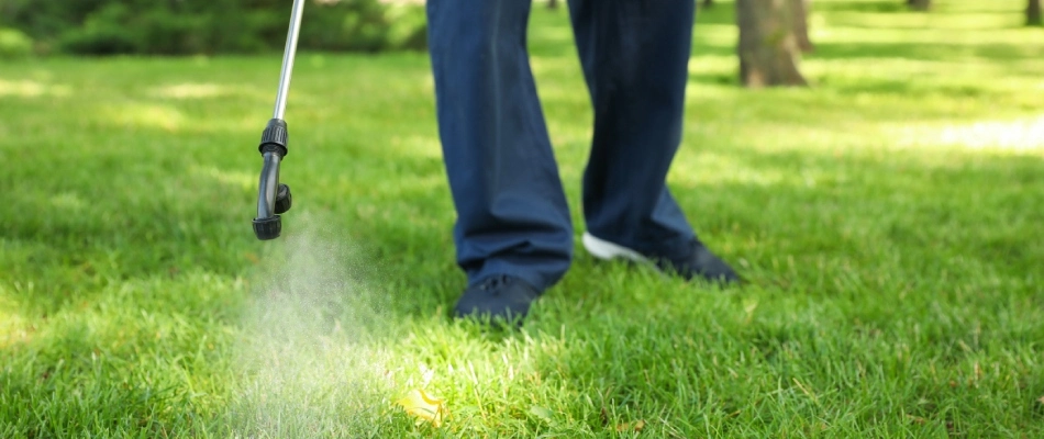 Liquid fertilizer being sprayed over lawn in Blue Springs, MO.