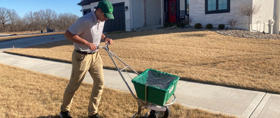 Professional pushing an overseeding spreader in lawn in Fishers, IN.
