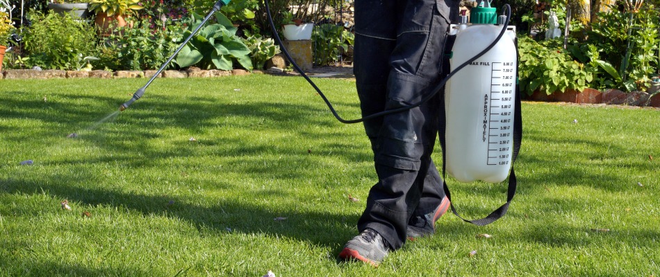 Professional applying pesticide treatment to lawn in Lenexa, KS.