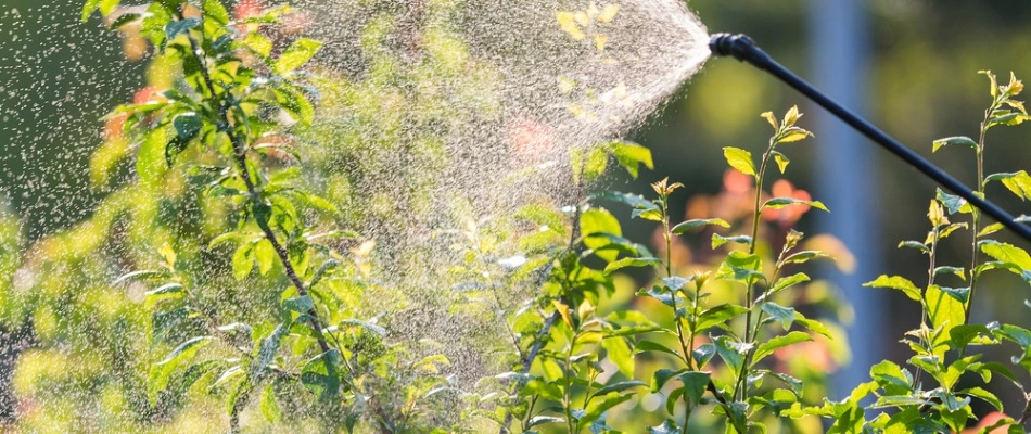Sprayer for tree and shrub fertilizer in Cumberland, IN.